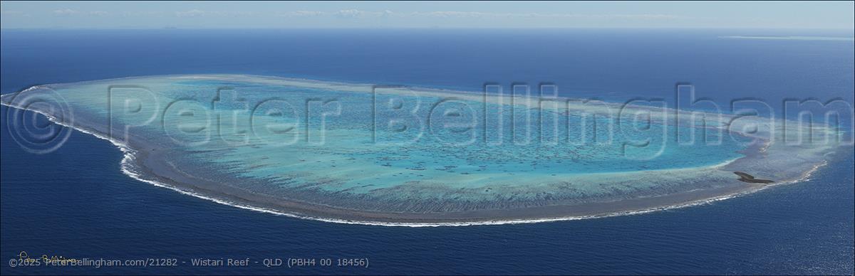 Peter Bellingham Photography Wistari Reef - QLD (PBH4 00 18456)